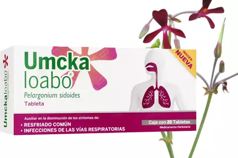 PS_Umckaloabo_Pelargonium_sidoides